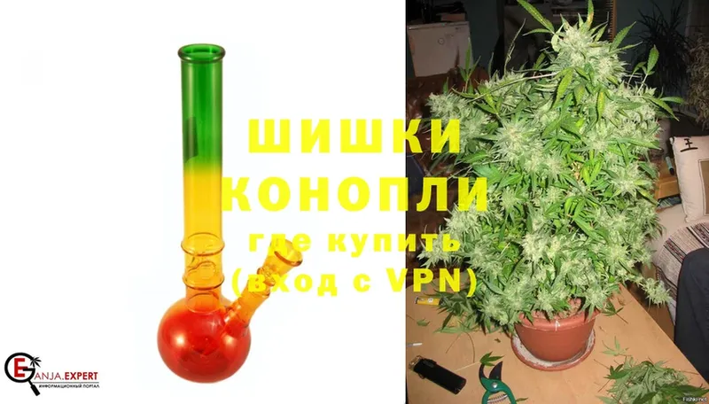 сколько стоит  Арсеньев  Каннабис OG Kush 